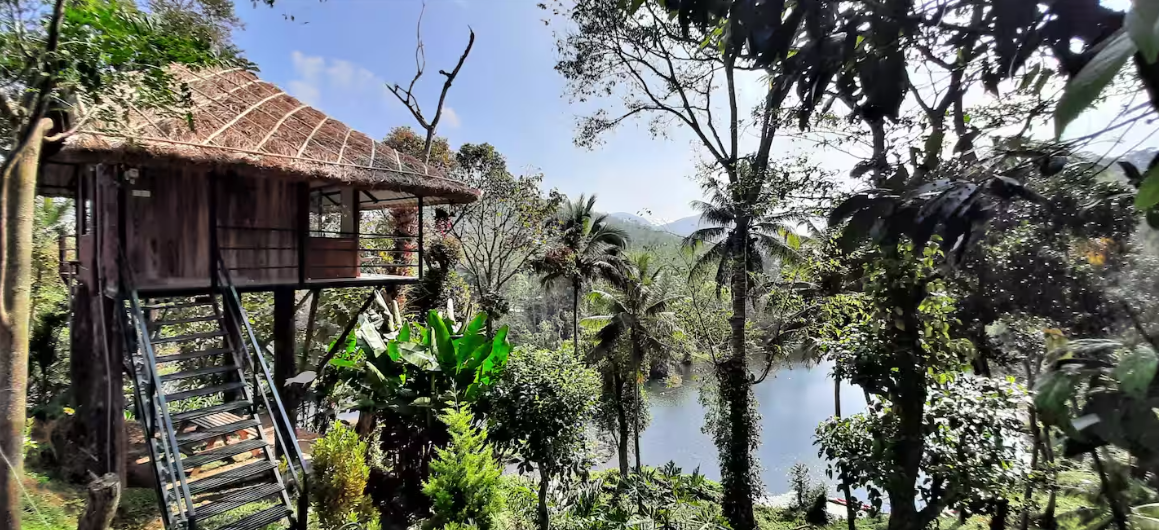 Noah's Nest Treehouse x Solis Nature