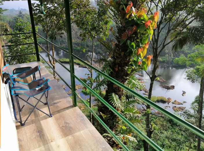 Noah's Nest Treehouse x Solis Nature