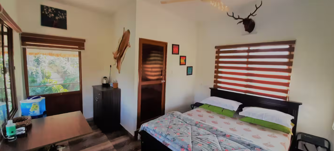 Noah's Nest Treehouse x Solis Nature
