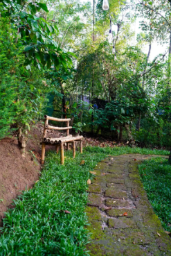 Peaceful Room w/ Pool & Stunning Wayanad x Solis Nature