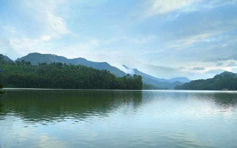 The Munnar Queen Resort x Solis Nature