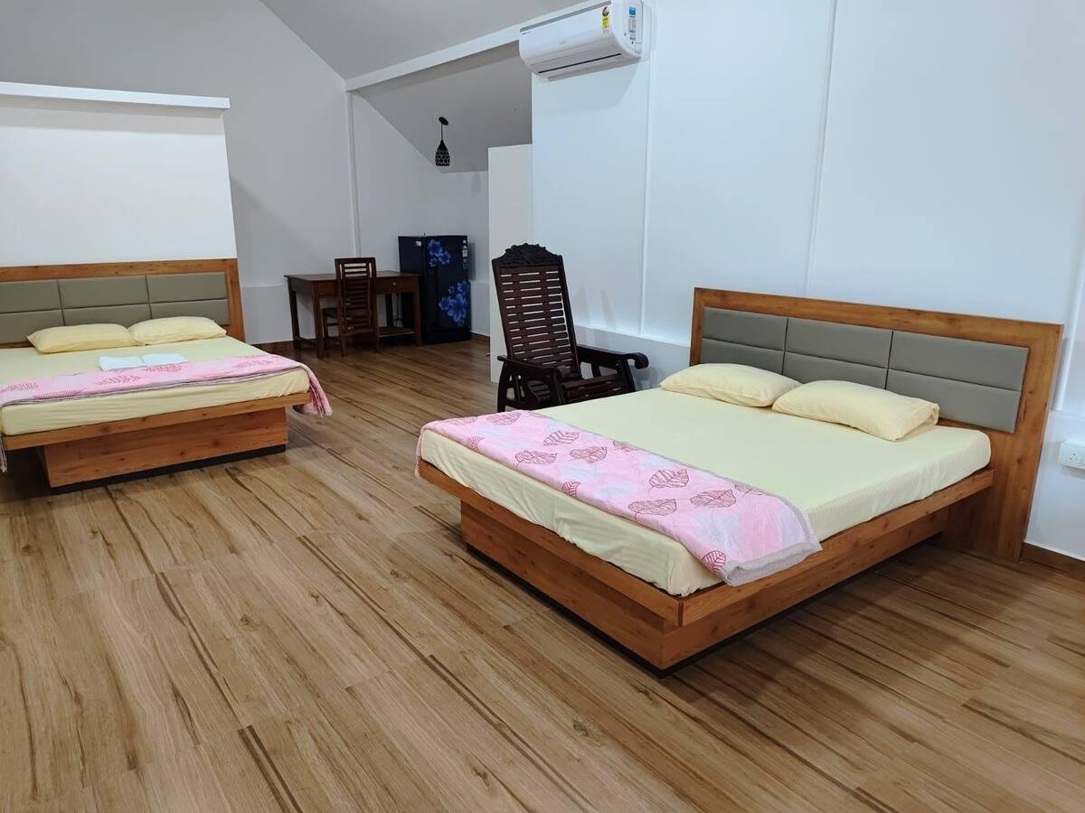 Sea Breeze Gold Room x Solis Nature