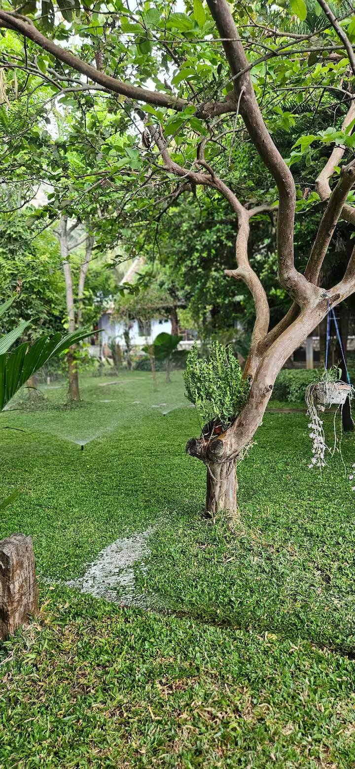 Pannadikadu Ranch House x Solis Nature