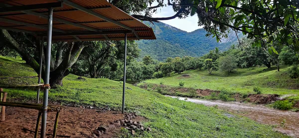 Pannadikadu Ranch House x Solis Nature