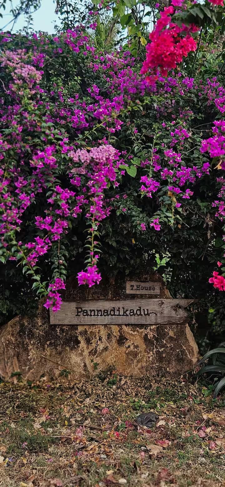 Pannadikadu Ranch House x Solis Nature
