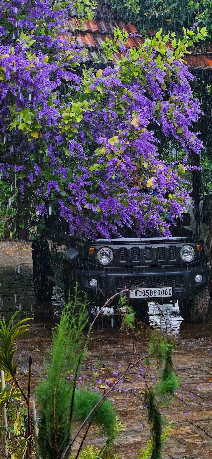 Pannadikadu Ranch House x Solis Nature