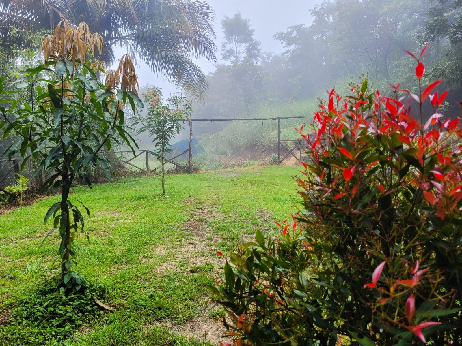 4bhk villa Chembani Holidays and resorts x Solis Nature