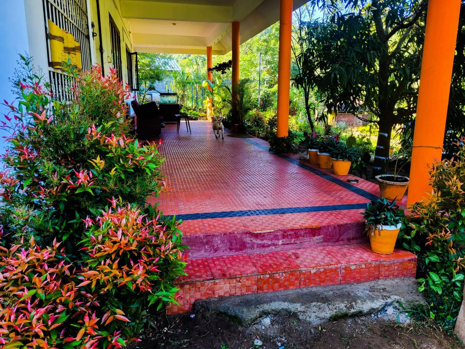 4bhk villa Chembani Holidays and resorts x Solis Nature