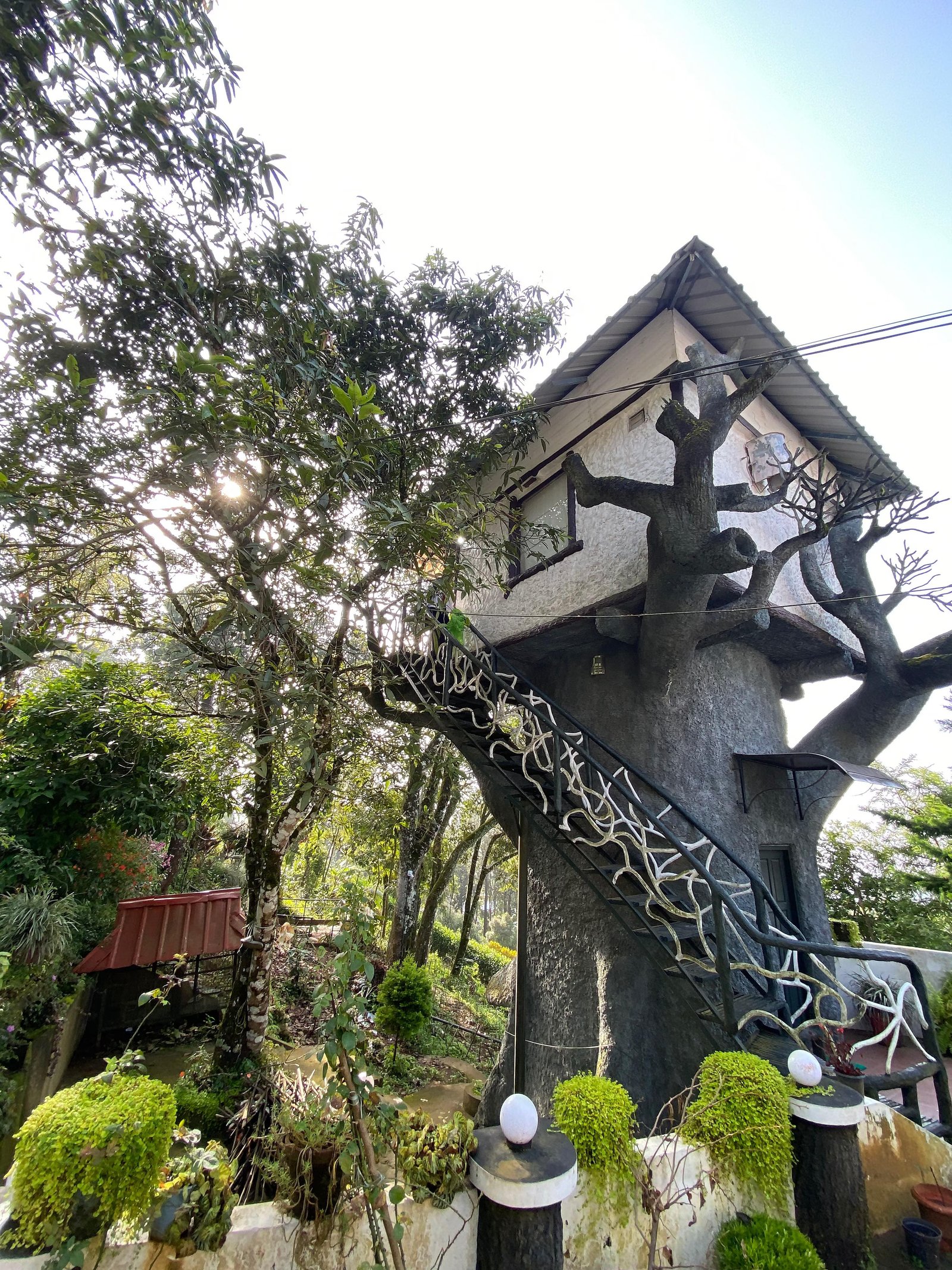 Estate Residency Tree House & Cave Room x Solis Nature