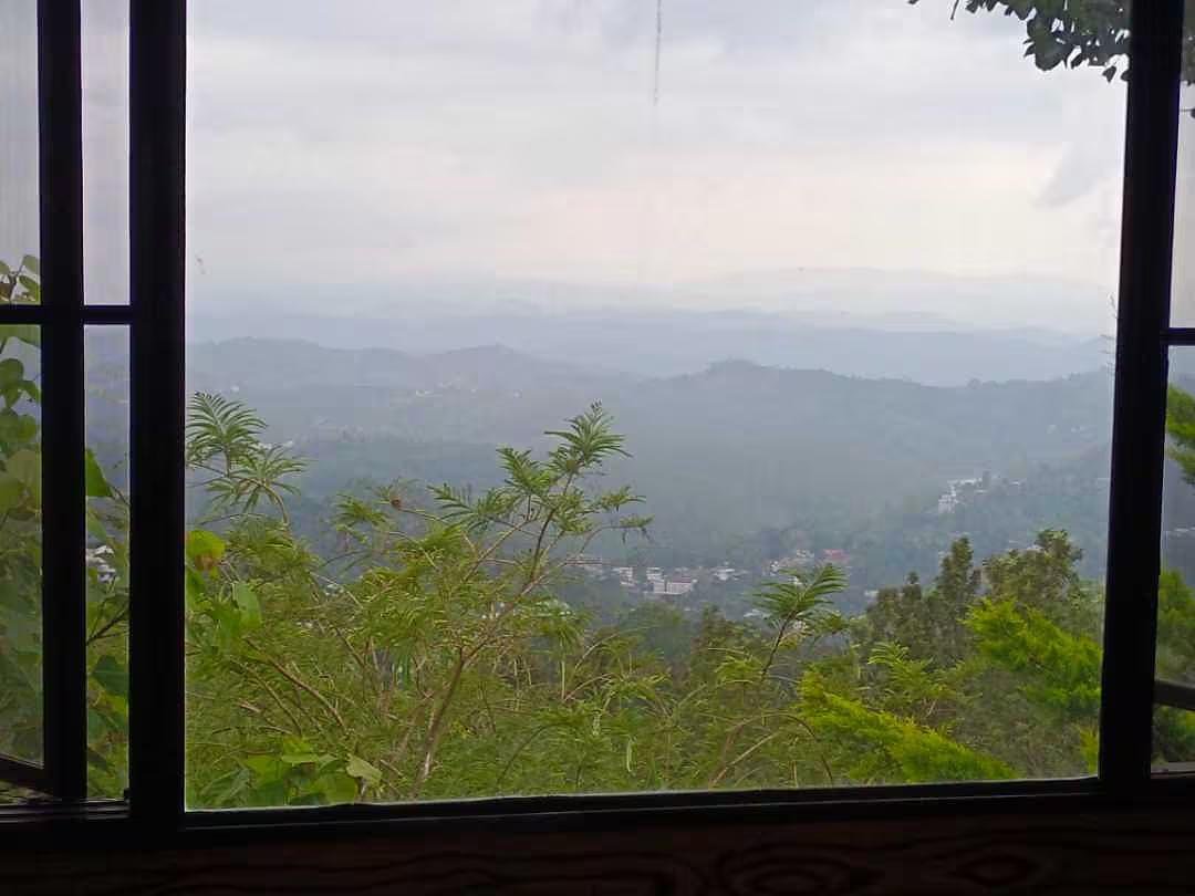 Estate Residency Tree House & Cave Room x Solis Nature