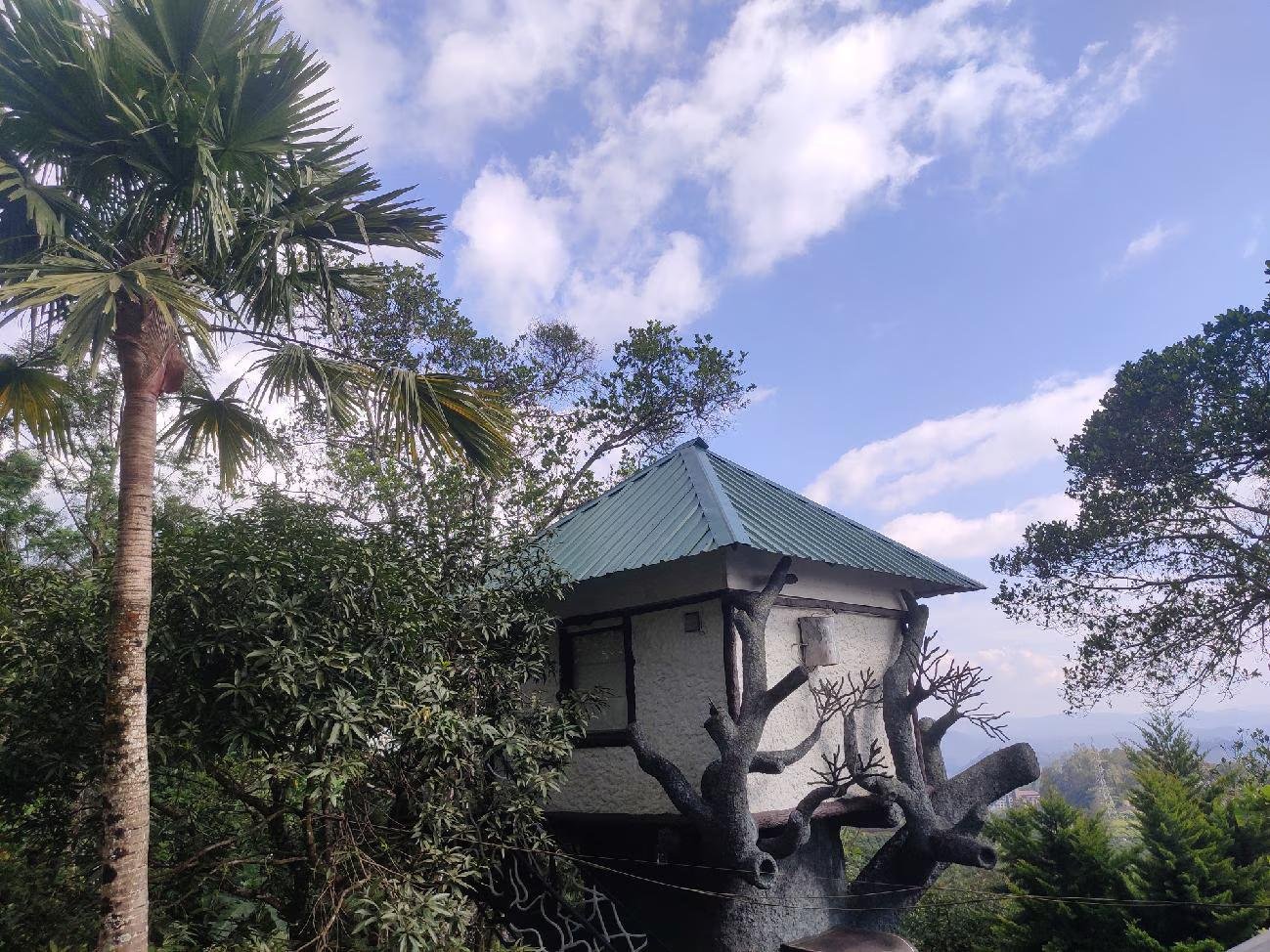 Estate Residency Tree House & Cave Room x Solis Nature