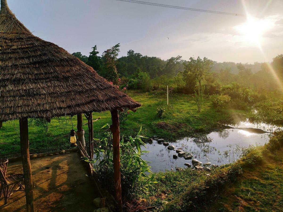 Nature Care Village x Solis Nature