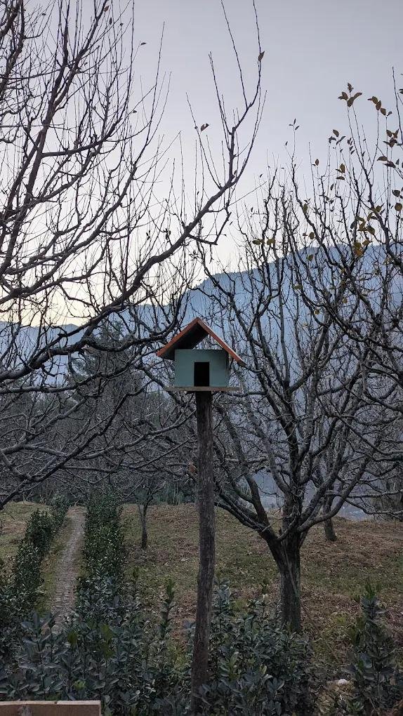 Tiny Yety Homes x Solis Nature