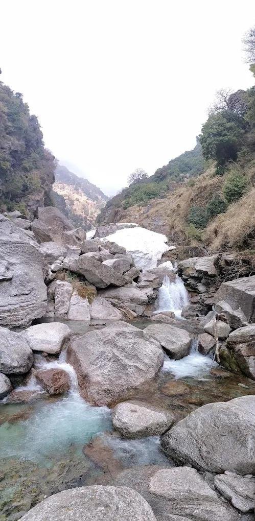 The Unmad Dharamkot x Solis Nature
