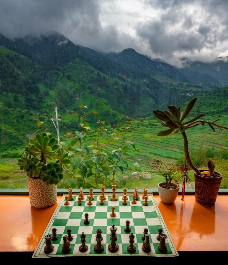 Dhauladhar Woodhouse x Solis Nature