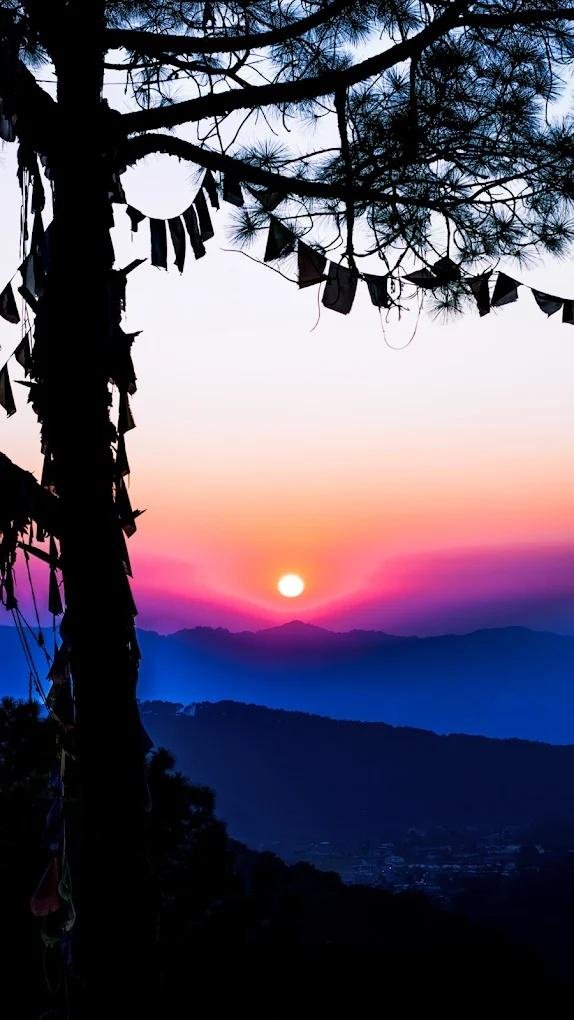 Dormego Manali x Solis Nature