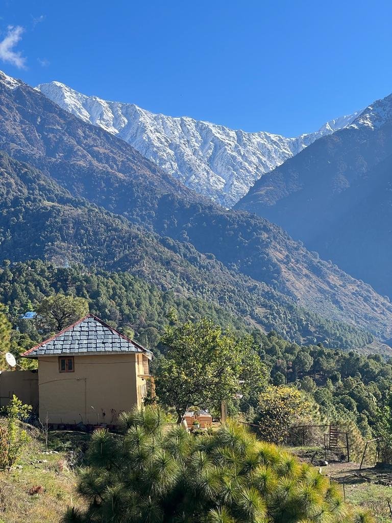 Musafir a Homestay x Solis Nature