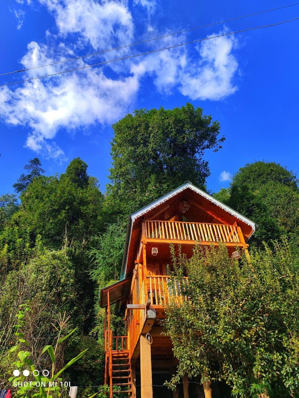 The Tree Top jibhi x Solis Nature