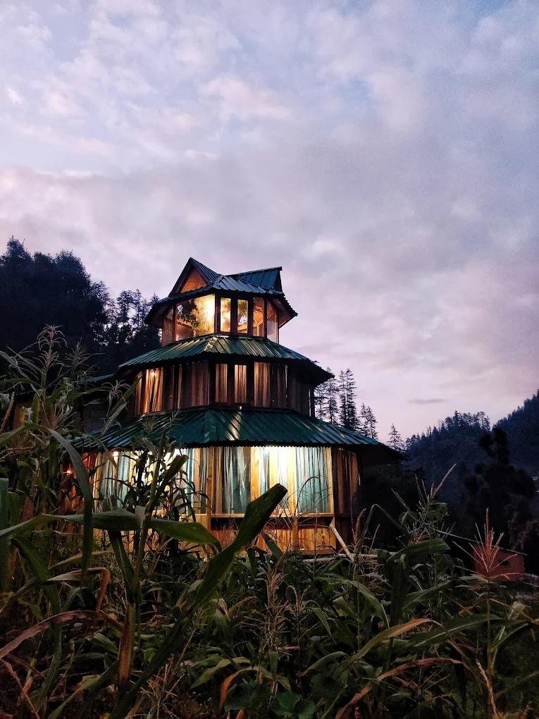 The hidden Burrow x Solis Nature