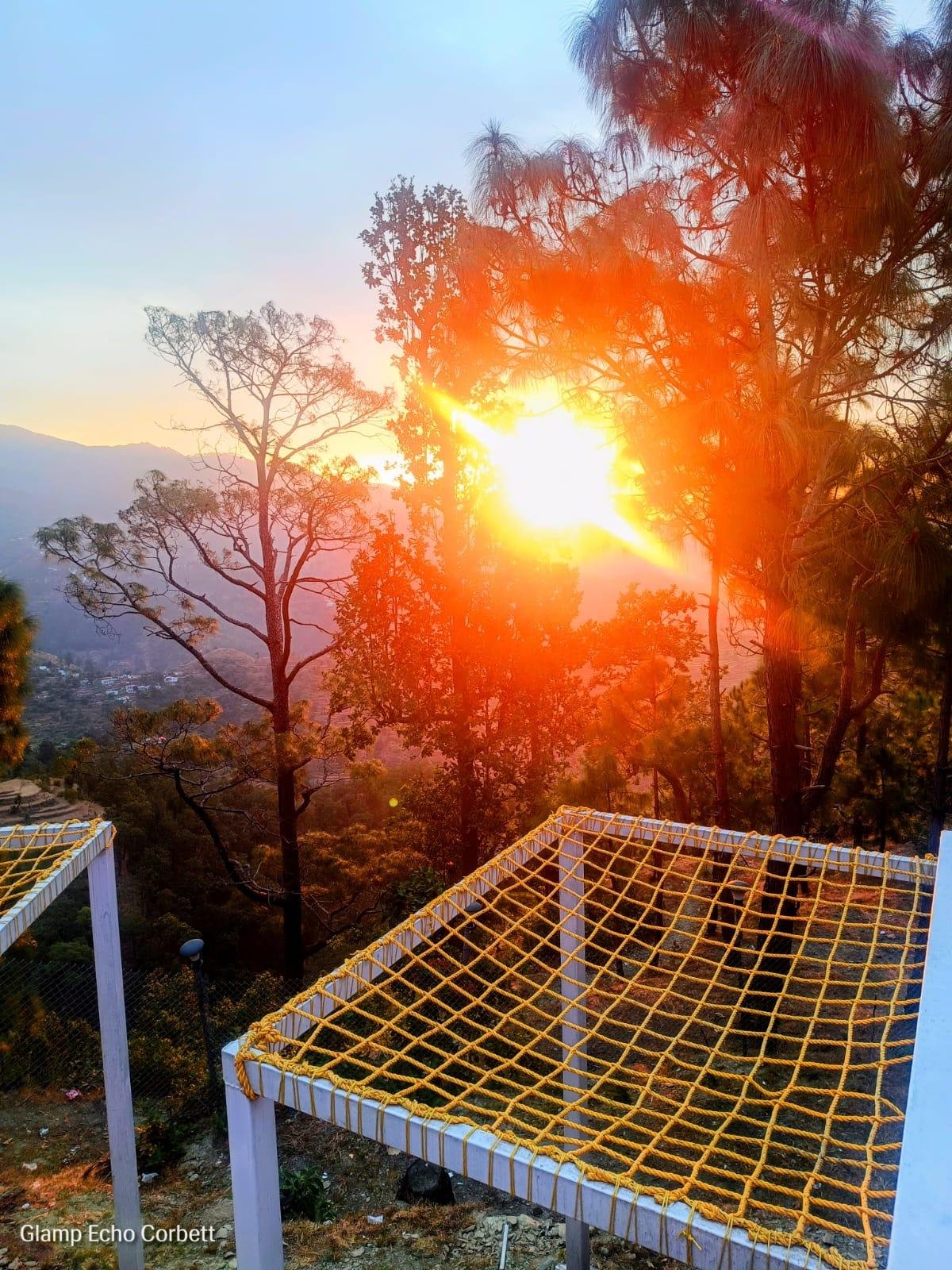 Exceptional Escape - Dome Canopy Corbett x Solis Nature