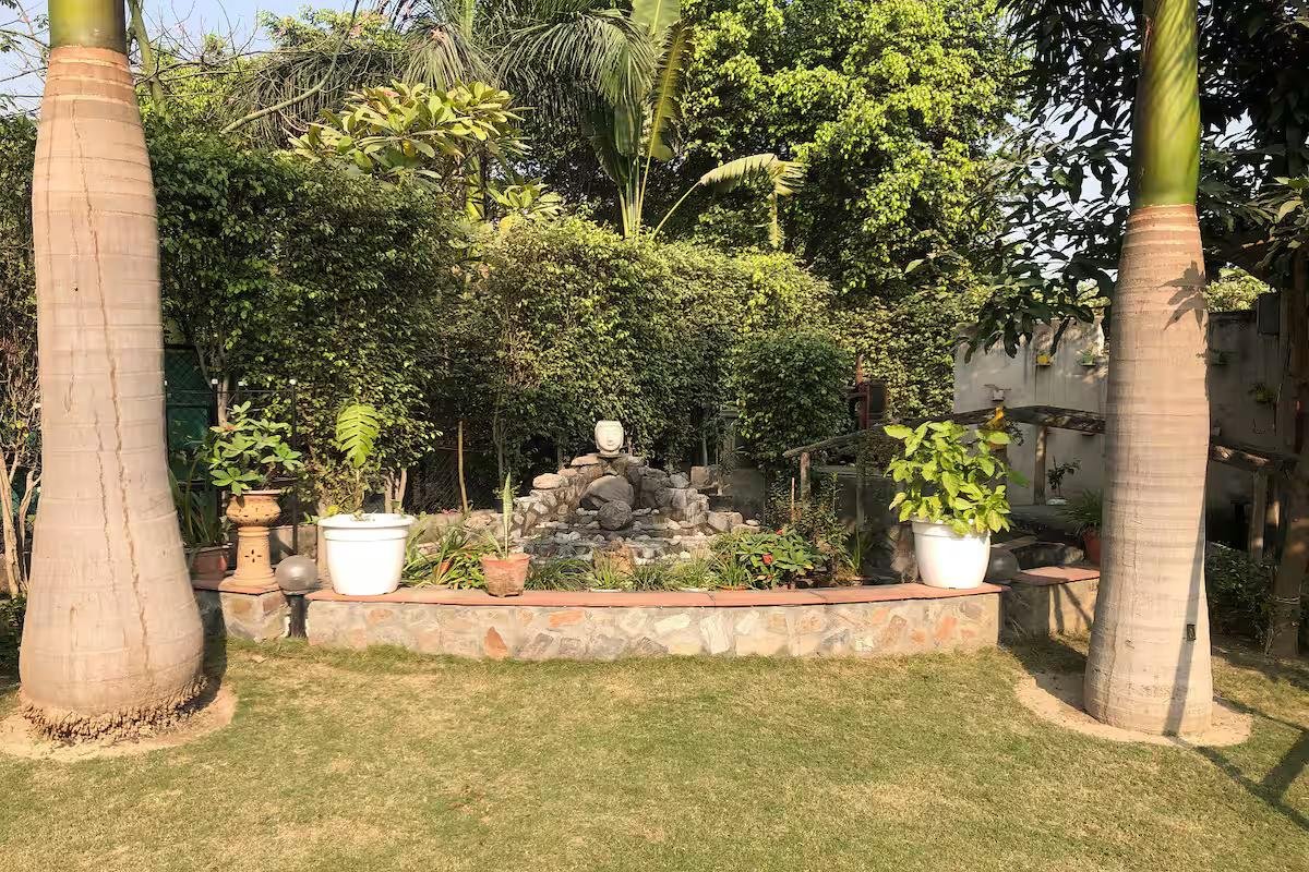 Room with Pool in Noida x Solis Nature