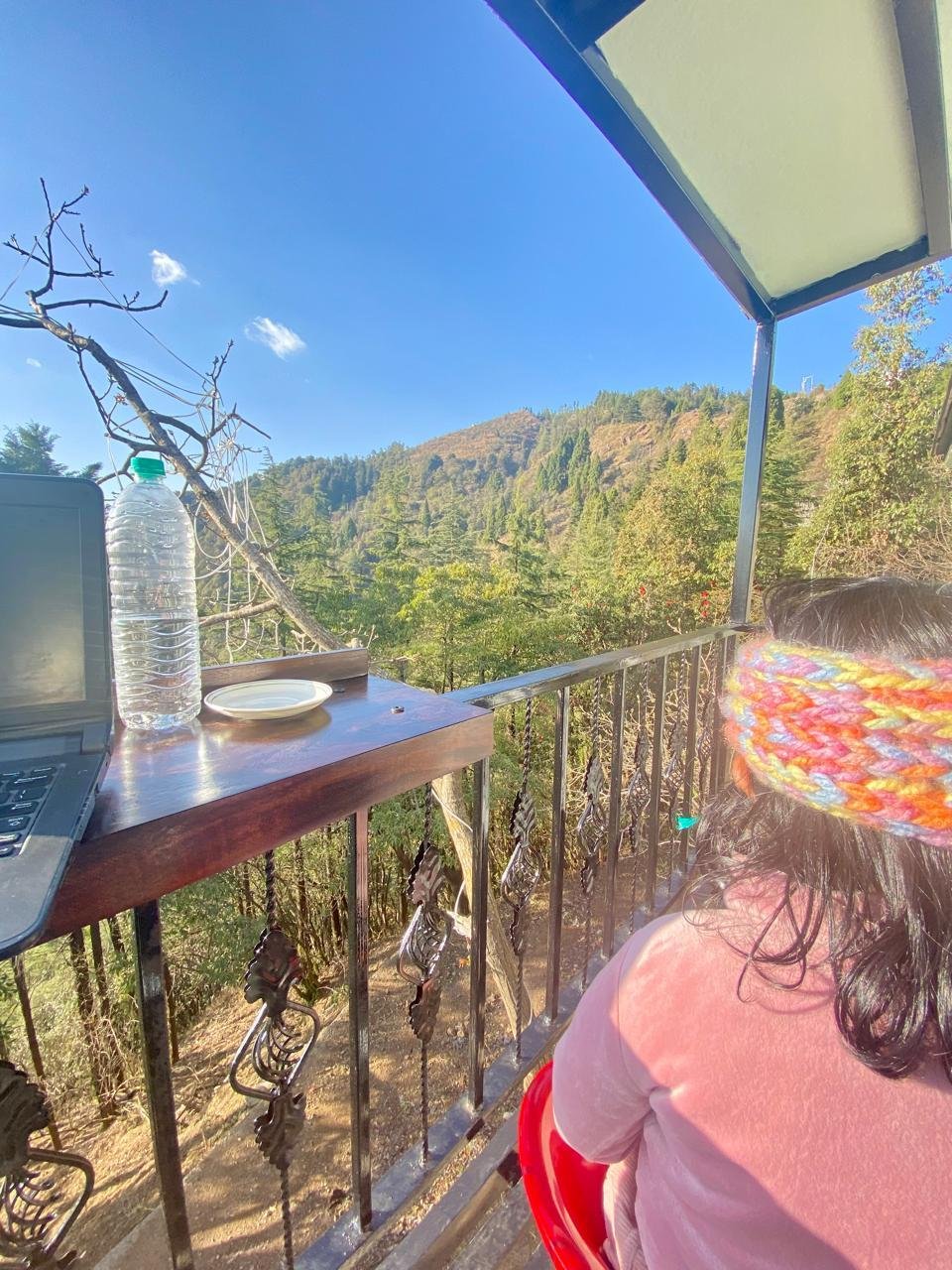 Nest x Solis Nature