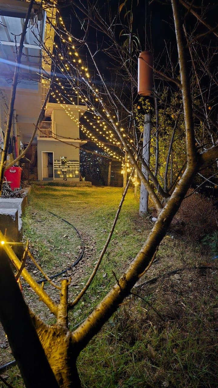 Hilltop Haven In Shimla x Solis Nature