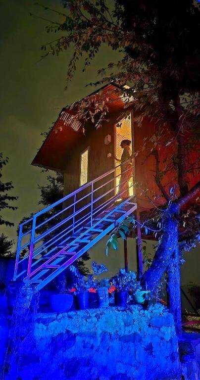 Tree House Shimla x Solis Nature