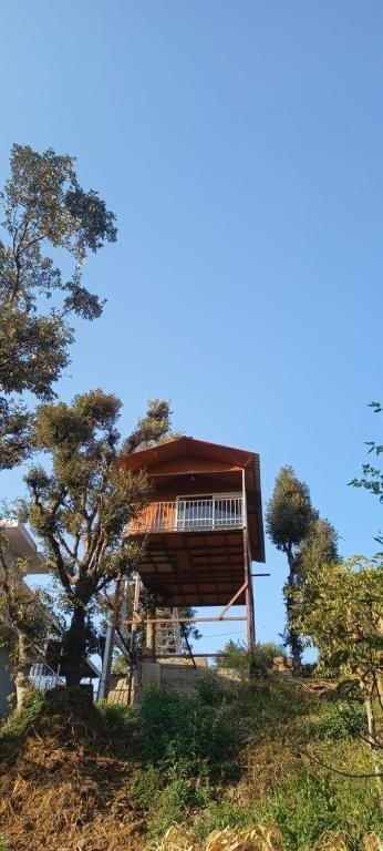 Tree House Shimla x Solis Nature