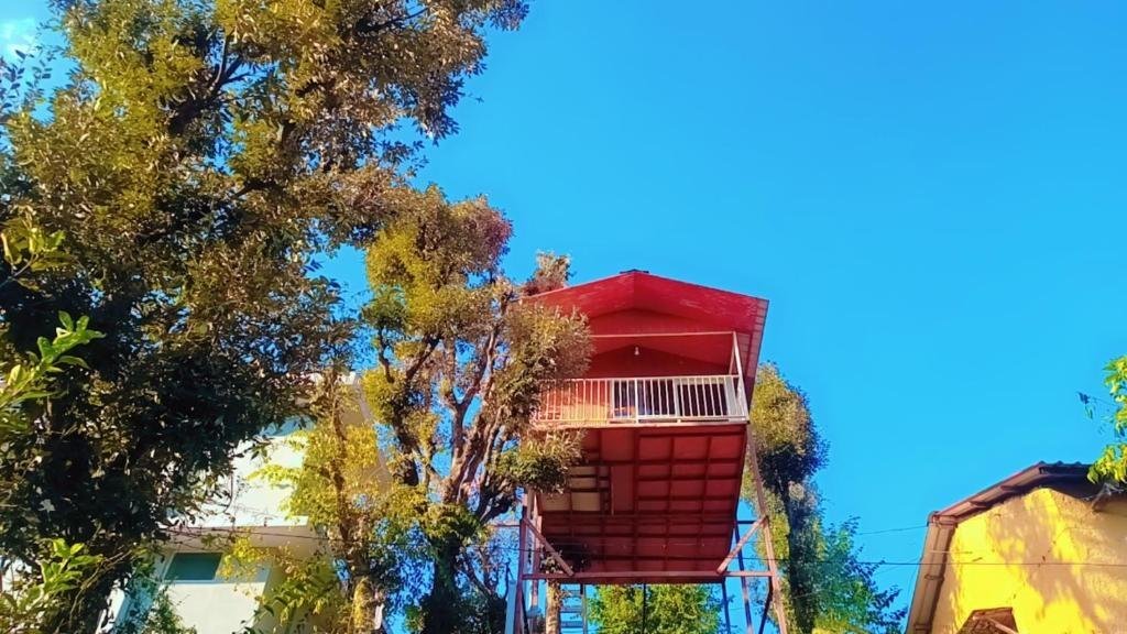 Tree House Shimla x Solis Nature
