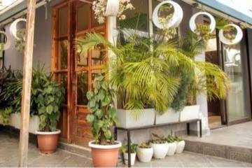 Da Alohas Tranquil Peaks Penthouse Musso x Solis Nature