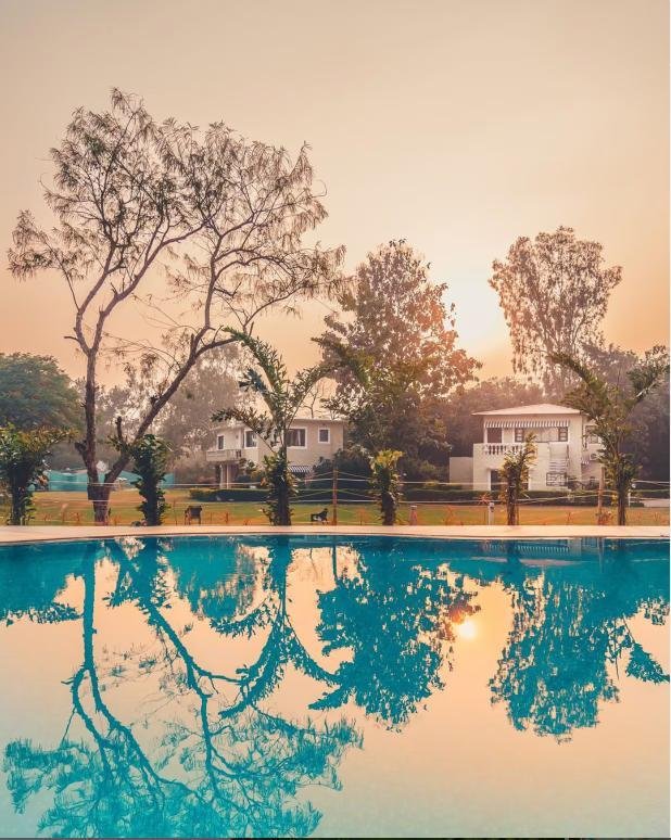 Maharani  Executive Room, Jim Corbett x Solis Nature